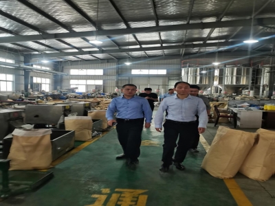 Standing Committee Member Zhang Visited and Conducted Research on Chuangxian Industry