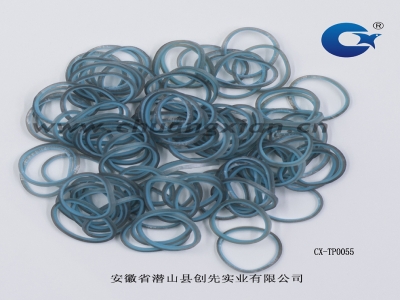 CX-TP0055