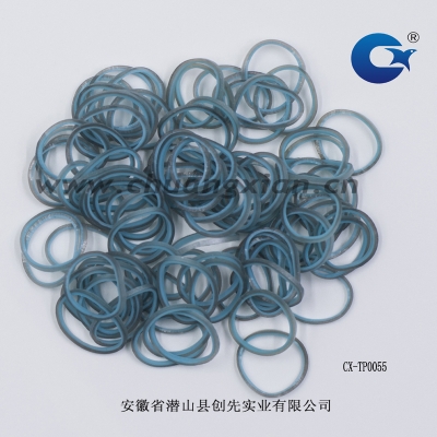 CX-TP0055