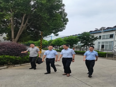 Wang Pei, member of the Standing Committee of the Municipal Party Committee and Executive Vice Mayor, visited Chuangxian Industry for research